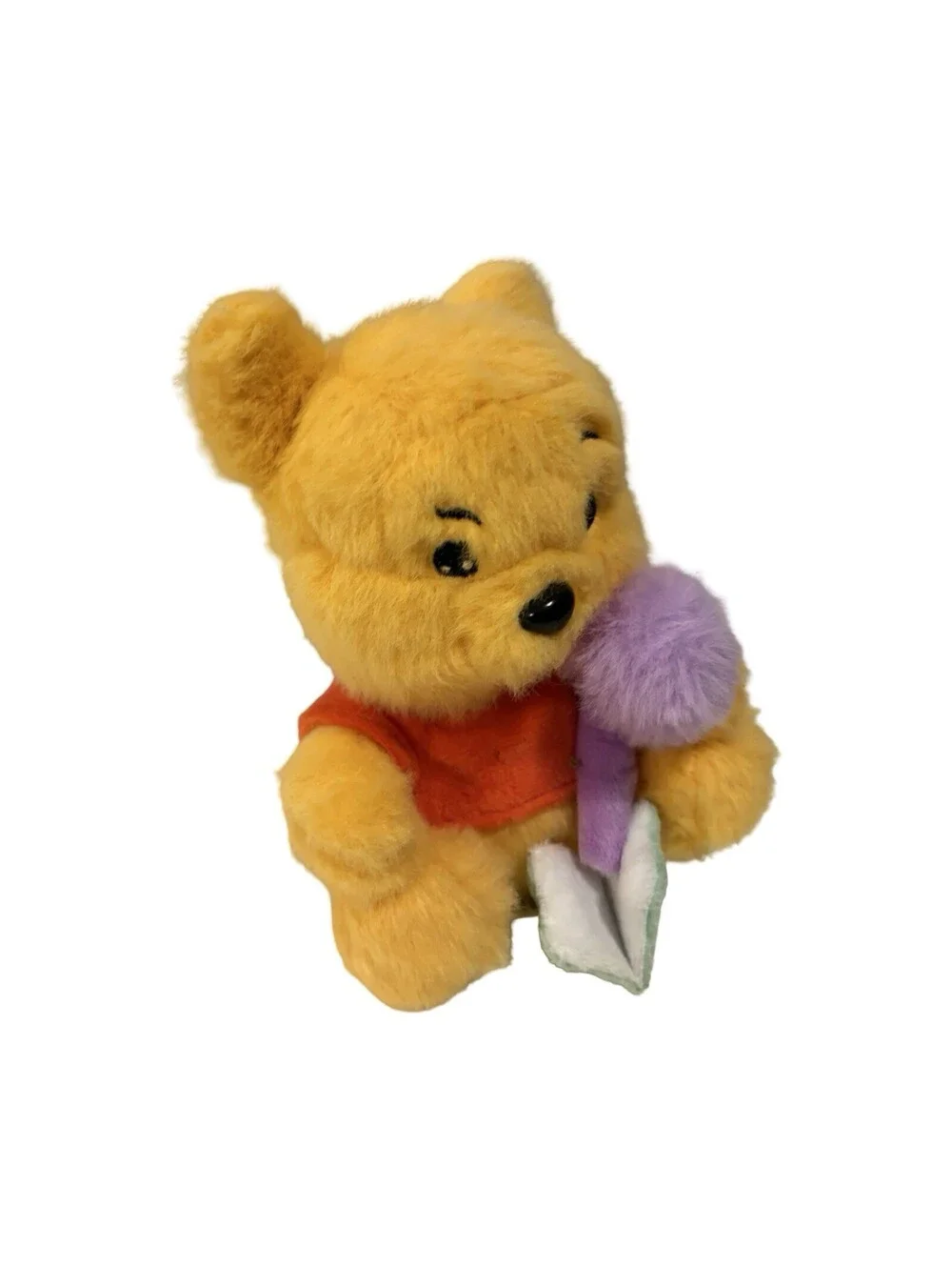 Winnie The Pooh HUNNY HUGS 5